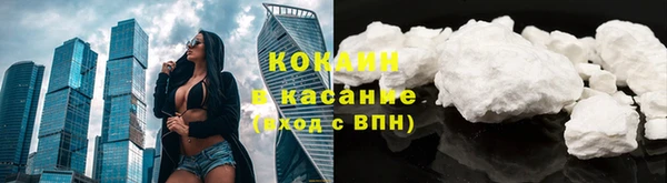 прущие грибы Армянск