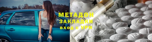 прущие грибы Армянск
