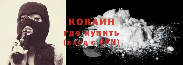 прущие грибы Армянск
