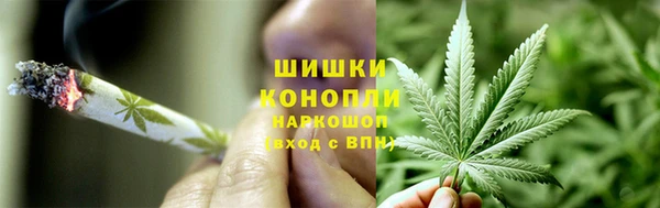 прущие грибы Армянск