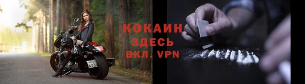 мет Арсеньев