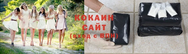 мет Арсеньев