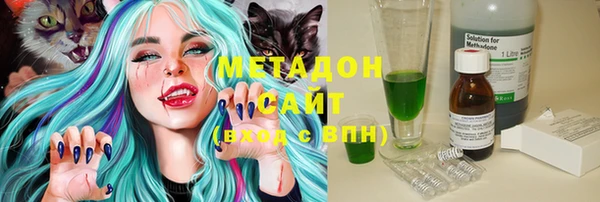 прущие грибы Армянск