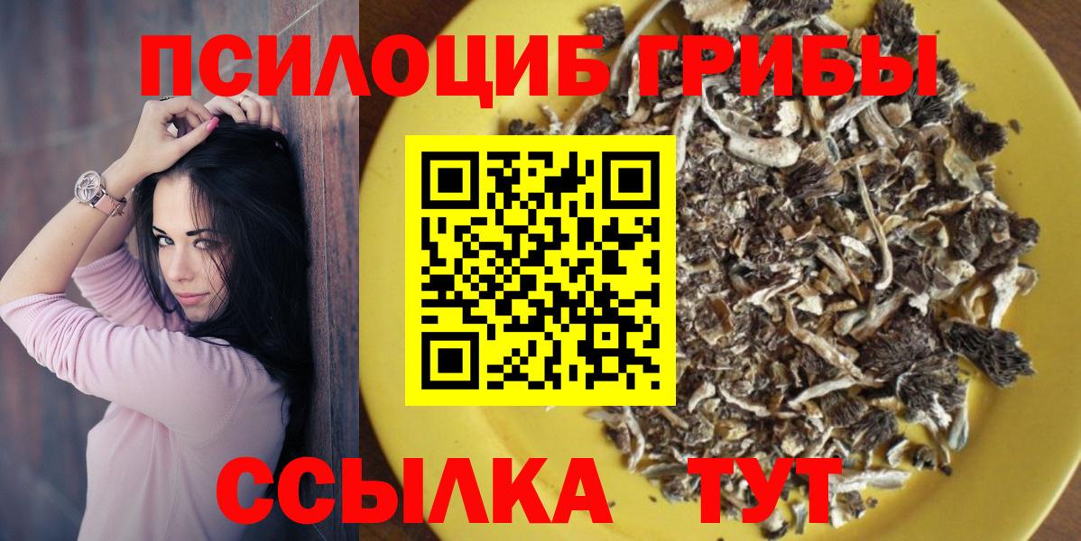 Галлюциногенные грибы Psilocybine cubensis  Вход с VPN  купить закладку  Электрогорск 